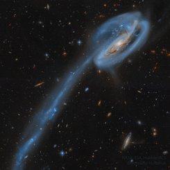 Hubble’dan İribaş Gökadası