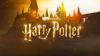Harry Potter (Max) : HBO annonce enfin le casting officiel de la future série