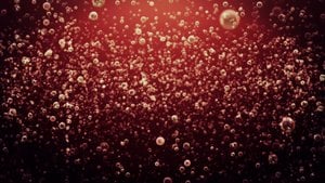 Gazlı İçeceklere ve Etkilerine Bilimsel Bir Bakış...