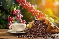 Rain Forecasts for Brazil Knock Arabica Coffee Prices Lower