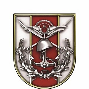 Türk Silahlı Kuvvetleri