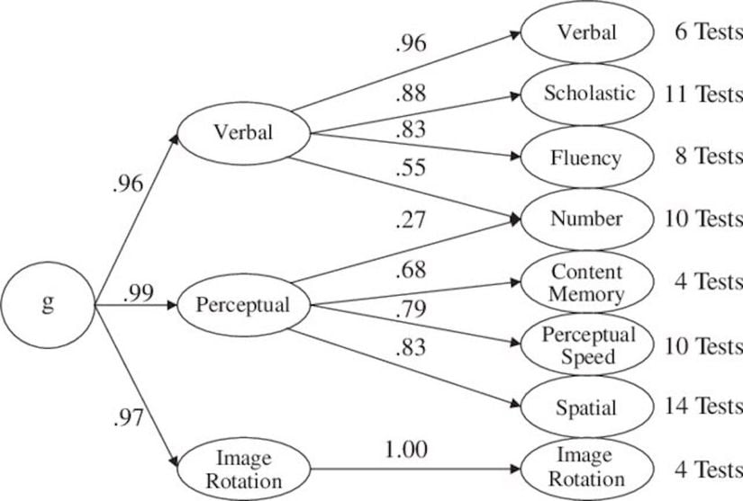 g-VPR modelinin yapısal bölmelerini gösteren şematik bir diyagram.