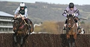 Minella Yoga And Grey Dawning Headline Cheltenham Trials Day Drama