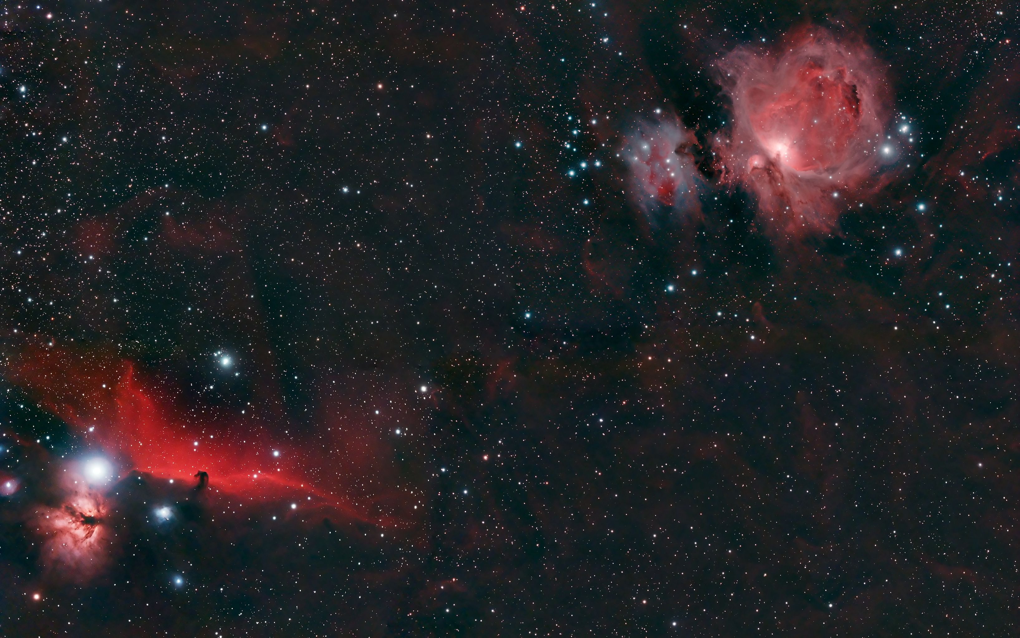 Horsehead and Orion Nebulae