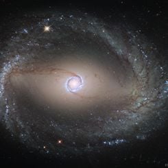  Spiral Galaxy NGC 1512: The Inner Rings 