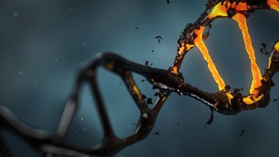 DNA ve Evrim: Yaşamın Dilini Okuyup, Anlamayı Öğrenin!