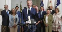 Love it or hate it? Poll shows how Californians feel about Newsom's redistricting fight with Trump