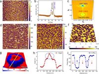 Observation of multi-order polar radial vortices and their topological transition - Nature Communications
