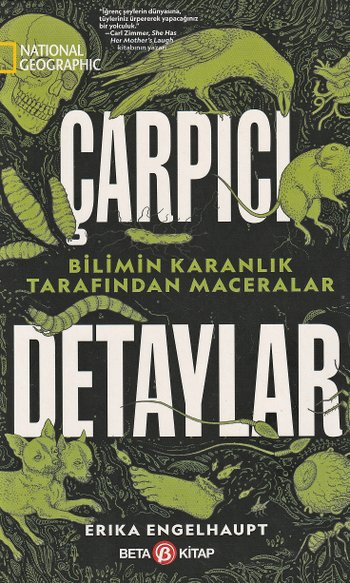 Çarpıcı Detaylar