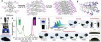 Sterically chained amino acid-rich water-soluble carbon quantum dots as a robust tumor-targeted drug delivery platform - Nature Communications