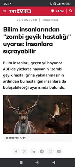 Bu aralar çokça "Zombi Geyik Hastalığı" adında bir virüs gördüm şuan hayvanlar arasında olsada insanlara sıçrama riski nedir veya böyle bir hastalık var mı?