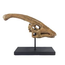 Parasurolophus