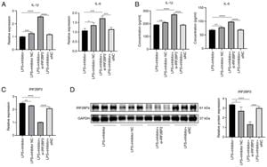 MicroRNAs Identified As Potential Biomarkers For Psoriasis