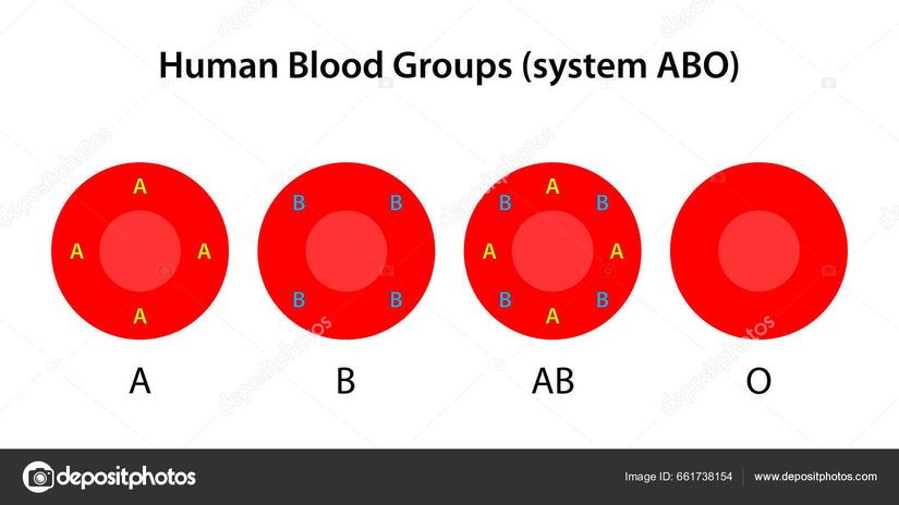 ABO Sistemi