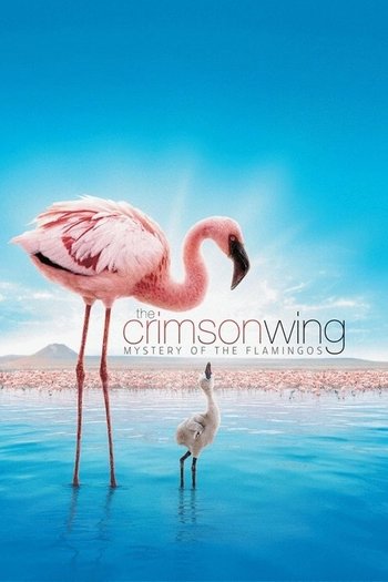Kızıl Kanatlar: Flamingoların Gizemi