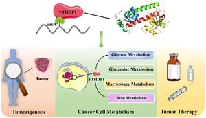 New Insights Into YTHDC1's Role In Colorectal Cancer Progression