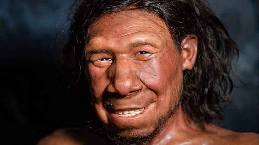 Neanderthal