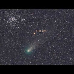 Tuz, Karabiber ve Buz