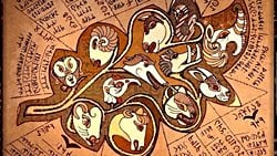 12 Hayvanlı Türk Takvimine Göre 2025 Yılı