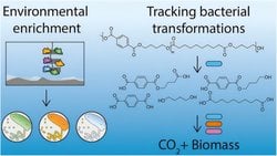 Okyanus Bakterileri Güçlerini Birleştirerek Biyobozunur Plastiği Parçalıyor: MIT'den Çığır Açan Keşif.