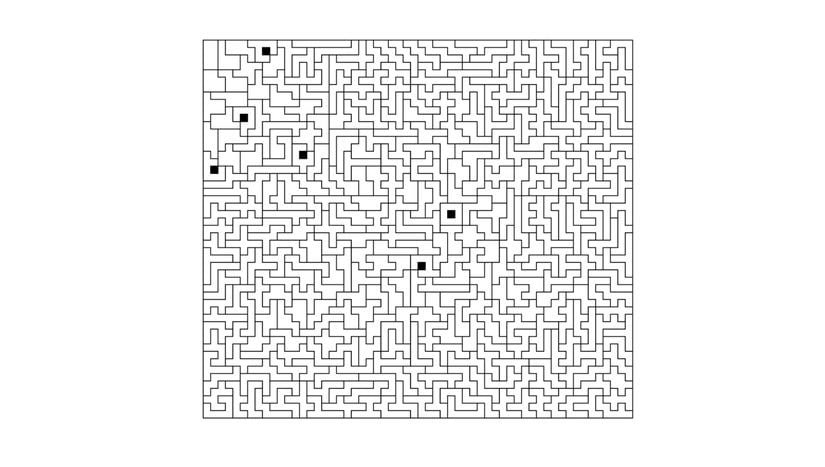 Michael Keller'ın 1987 yılında tamamladığı 369 oktominodan oluşan 51x58 birim kare boyutundaki yapı