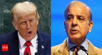La Ore: Pakistan claims to have exported rare earth elements to US - The Times of India