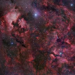 Northern Cygnus