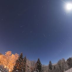 Geminid Meteors over a Snowy Forest