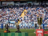 Avaí é Campeão Catarinense 2025! — Avaí F.C.