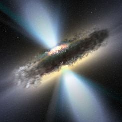 Molecular Torus Surrounds Black Hole