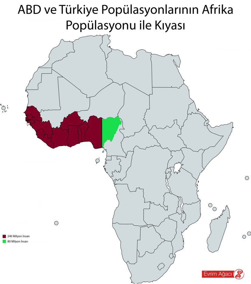 Türkiye, epey kalabalık bir ülke. ABD, Türkiye'den 4 kat kadar daha kalabalık bir ülke. Afrika ise, 1.2 milyardan fazla insanı ve 54 ülkeyi barındıran, akıl almaz büyüklükteki bir kıta. Bu kıtanın büyüklüğünü takdir etmenin bir diğer yolu, Türkiye veya ABD gibi çok sayıda insanın yaşadığı ülkelerin nüfusunu, kıtanın nüfusuna oransal bir biçimde dağıtmak olacaktır. Bu yapılacak olursa, Türkiye'nin nüfusu haritada yeşille gösterilen alana, ABD'nin nüfusu ise hem kırmızı, hem de yeşil ile kaplanan alana sığıverecektir!