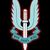 Special Forces Forces
