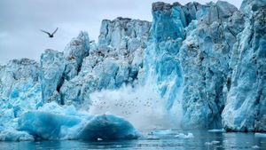 Arctic Report Card Reveals Shift From Carbon Sink To Source