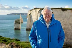 David Attenborough Celebrates 99th Birthday With New Ocean Documentary