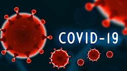 COVID-19 Daha da Kötüleşiyor mu? SARS-CoV-2 Virüsü Mutasyonları, Koronavirüs Evriminin Yönüyle İlgili Bize Neler Söylüyor?