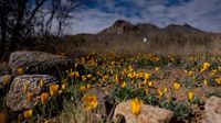 When is the first day of spring 2025? What to know about the vernal equinox