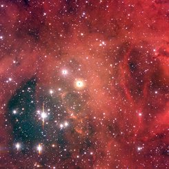 NGC 2244: Rosette Bulutsusu’ndaki Bir Yıldız Kümesi