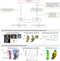 Morphology and biomechanical index predict the rupture location and rupture risk of abdominal aortic aneurysm - Scientific Reports