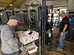 Yapay Zeka ve Hiperspektral Görüntüleme Sığır Hastalıklarını Nefesten Tespit Edecek!