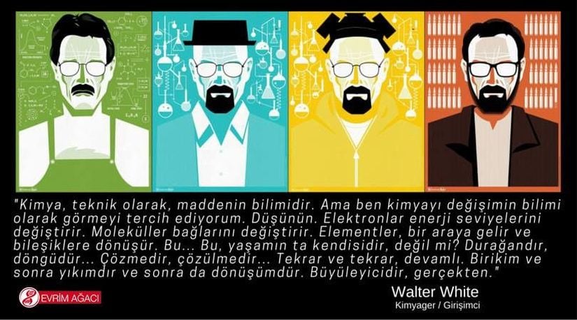 "Kimya, teknik olarak, maddenin bilimidir. Ama ben kimyayı değişimin bilimi olarak görmeyi tercih ediyorum. Düşünün. Elektronlar enerji seviyelerini değiştirir. Moleküller bağlarını değiştirir. Elementler, bir araya gelir ve bileşiklere dönüşür. Bu... Bu, yaşamın ta kendisidir, değil mi? Durağandır, döngüdür... Çözmedir, çözülmedir... Tekrar ve tekrar, devamlı. Birikim ve sonra yıkımdır ve sonra da dönüşümdür. Büyüleyicidir, gerçekten..." Walter White (Breaking Bad dizisinin efsanevi kimya öğretmeni)