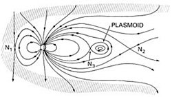 Yeni Bir Canlı Keşfedildi