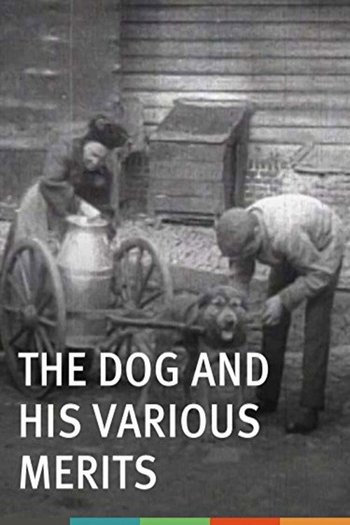 Les chiens et ses services