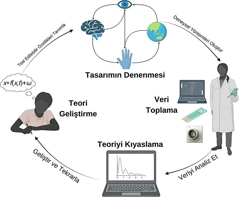 Bir teori geliştirme ve test etmek için deney tasarlama aşamalarının temsili şeması.