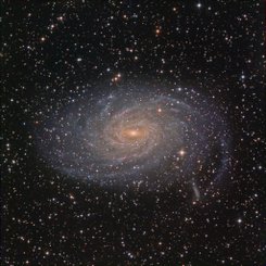 NGC 6744 Sarmal Galaksisi