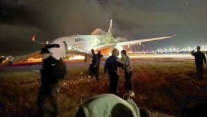 Japan Airlines Flight Canceled After Wildlife Collision