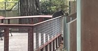 Wild bear stealthily enters California zoo, is found visiting the bear exhibit