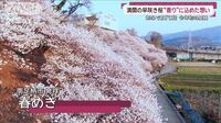 絶景サクラ“甘い香り”に秘密あり！桜前線スタートの夏日に…“熱々おでん祭り”盛況 | khb東日本放送