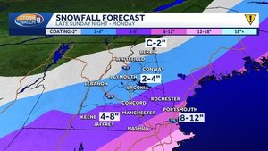 Northeast Braces For Major Snowstorms And Supply Shortages