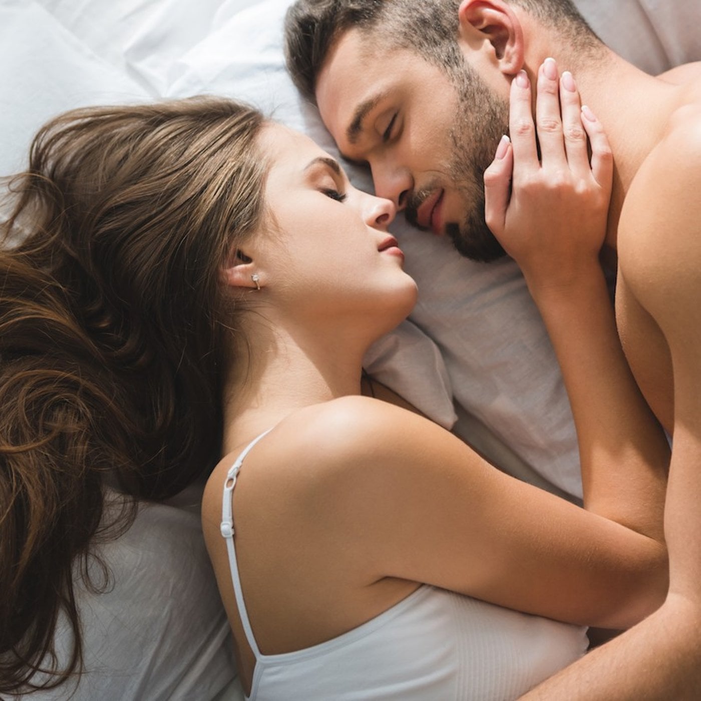 Evrim Ağacı ile Bilime Dair Her Şey!