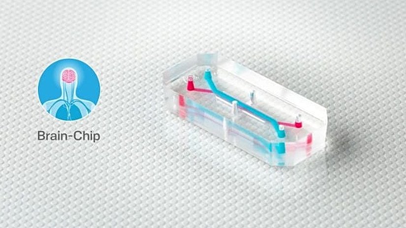 Emulate’in organ çipleri, mesela bu beyin çipi gibi, on binlerce yaşayan insan hücresi ve dokusuyla oluşturulmuş oyuk mini kanallar içerir. Ve her çip yaklaşık olarak AA pil büyüklüğündedir. –Emulate, Inc.